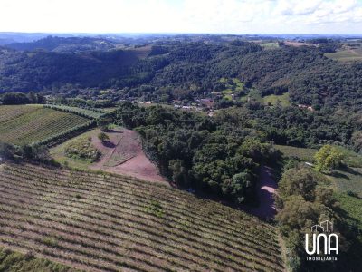 Chácara, 2 hectares - Foto 3
