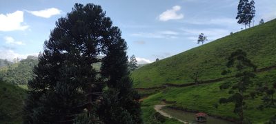 Chácara, 1 quarto, 100 m² - Foto 2