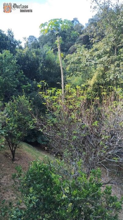 Sobrado, 3 quartos, 400 m² - Foto 3