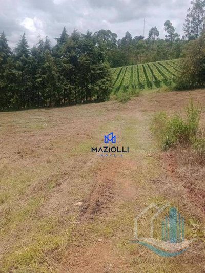 Terreno, 3 hectares - Foto 2