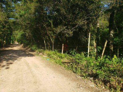 Terreno, 6 hectares - Foto 1