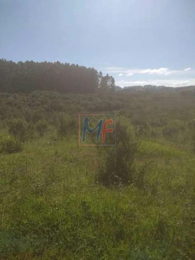 Terreno, 4166 m² - Foto 3