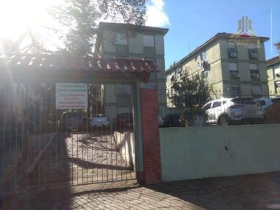Apartamento, 3 quartos, 59 m² - Foto 5