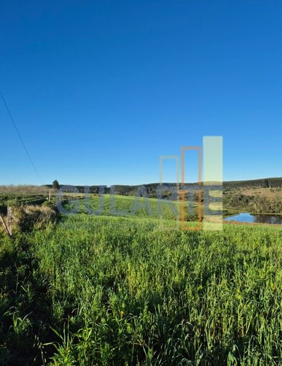 Fazenda, 63 hectares - Foto 3