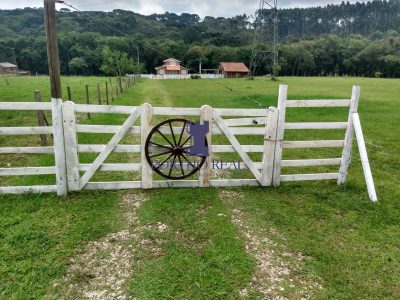 Chácara, 2 quartos, 2 hectares - Foto 3