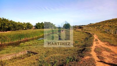 Terreno, 13 hectares - Foto 5