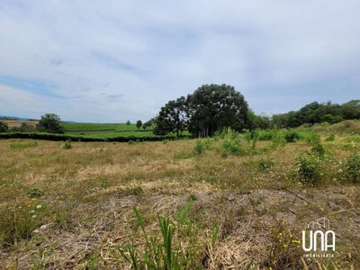 Terreno, 433 m² - Foto 4