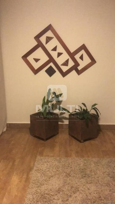 Chácara, 3 quartos - Foto 2