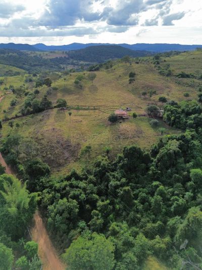 Chácara, 31 hectares - Foto 1