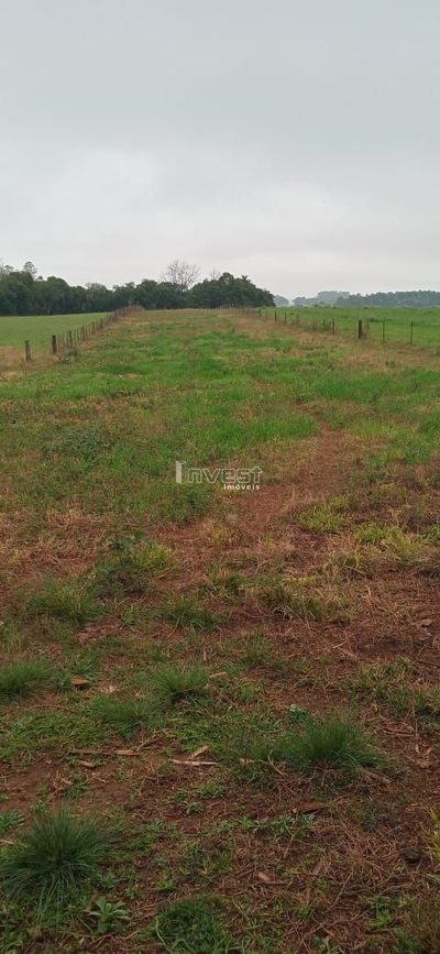 Chácara, 18000 hectares - Foto 3