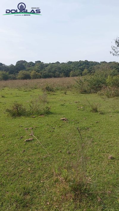 Terreno, 2 hectares - Foto 4