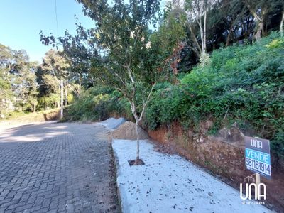 Terreno, 616 m² - Foto 3