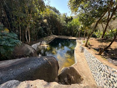 Sítio, 4 quartos, 8 hectares - Foto 1