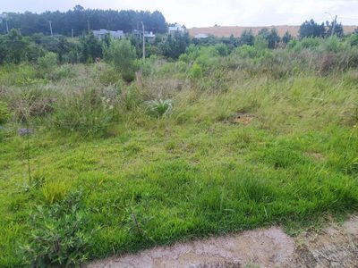 Terreno - Foto 1