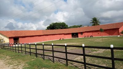 Fazenda, 181 hectares - Foto 3