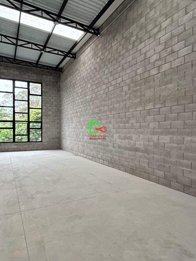 Depósito-Galpão, 233 m² - Foto 3