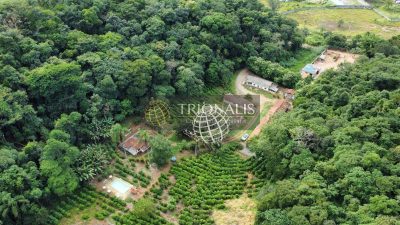 Terreno, 2 hectares - Foto 2