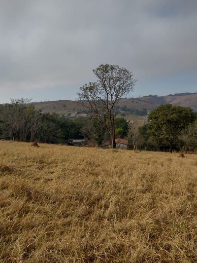 Terreno, 2 hectares - Foto 1