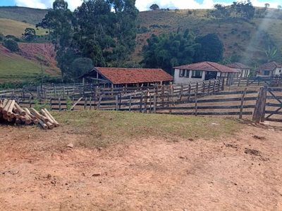 Fazenda, 605 hectares - Foto 2