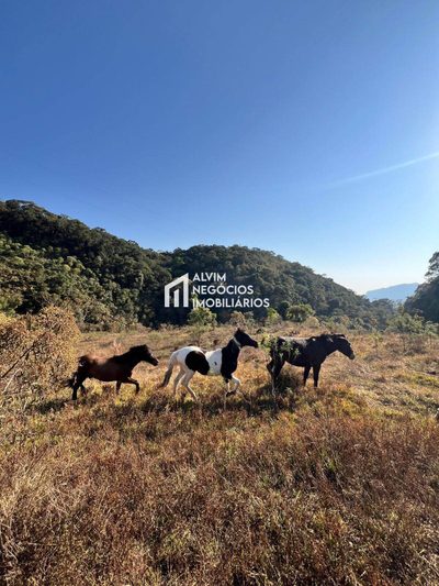Terreno, 7 hectares - Foto 1