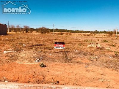 Terreno - Foto 4