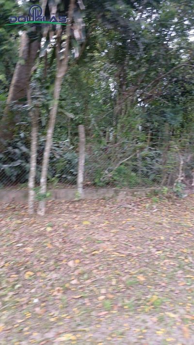 Terreno, 2400 m² - Foto 4