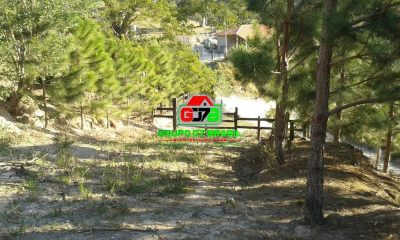 Terreno - Foto 4
