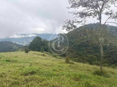 Sítio, 5 quartos, 100 m² - Foto 3