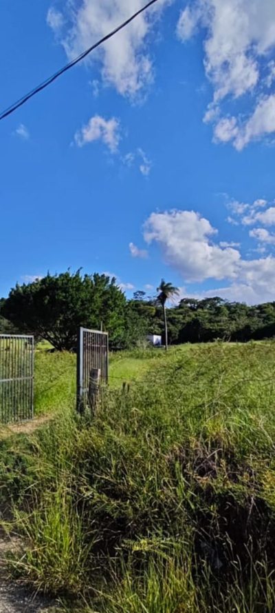 Terreno, 8 hectares - Foto 5