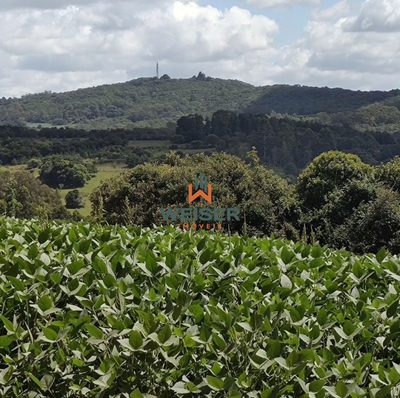 Sítio, 3 quartos, 18 hectares - Foto 4