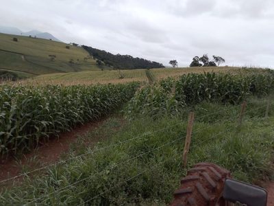 Fazenda, 130 hectares - Foto 1