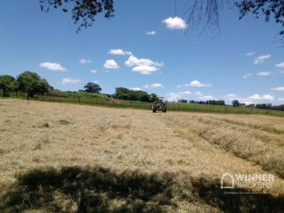 Sítio, 1 quarto, 8 hectares - Foto 5