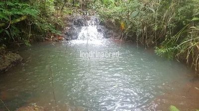 Sítio, 1 quarto, 2 hectares - Foto 1