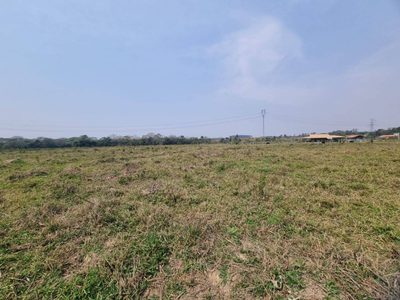 Terreno, 2 hectares - Foto 4