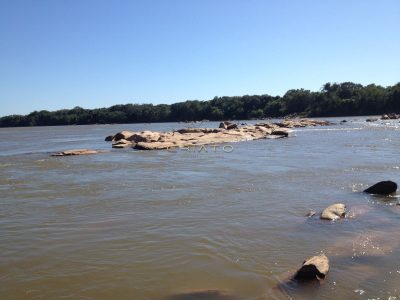 Chácara, 2 quartos, 1200 m² - Foto 3