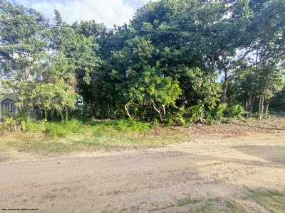 Terreno, 1640 m² - Foto 1