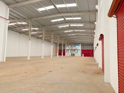 Depósito-Galpão, 5000 m² - Foto 4