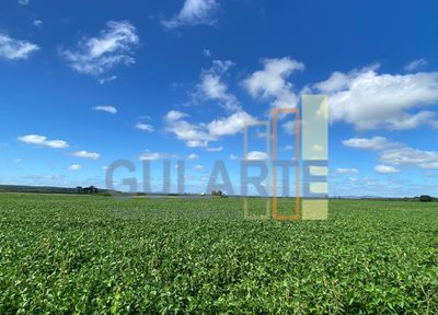 Fazenda, 640 hectares - Foto 2