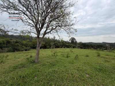 Terreno, 2 hectares - Foto 2
