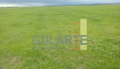 Chácara, 624 hectares - Foto 4