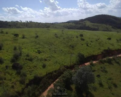 Terreno - Foto 5
