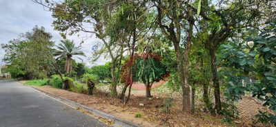 Loteamento e Condomínio, 4280 m² - Foto 3