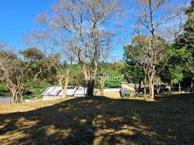 Terreno, 3168 m² - Foto 4