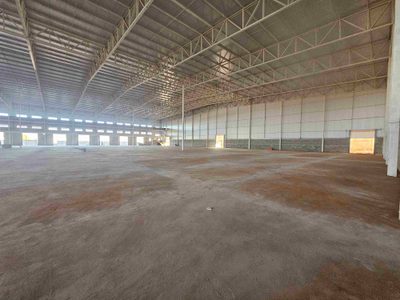 Depósito-Galpão, 7000 m² - Foto 2