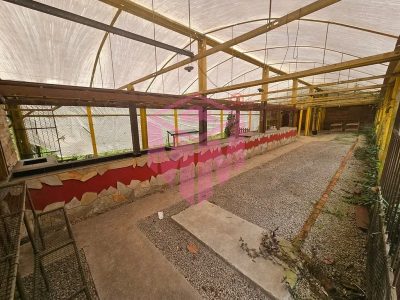 Terreno, 3231 m² - Foto 4