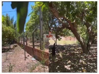 Casa, 6000 m² - Foto 4