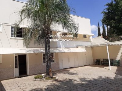 Loja-Salão, 812 m² - Foto 3