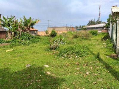Terreno - Foto 3