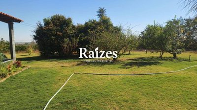 Chácara, 4 quartos, 2 hectares - Foto 4