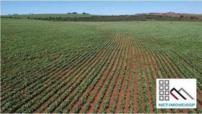 Fazenda, 284 hectares - Foto 4